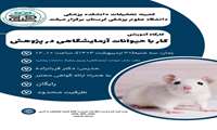 کارگاه آموزشی کار با حیوانات آزمایشگاهی در پژوهش 